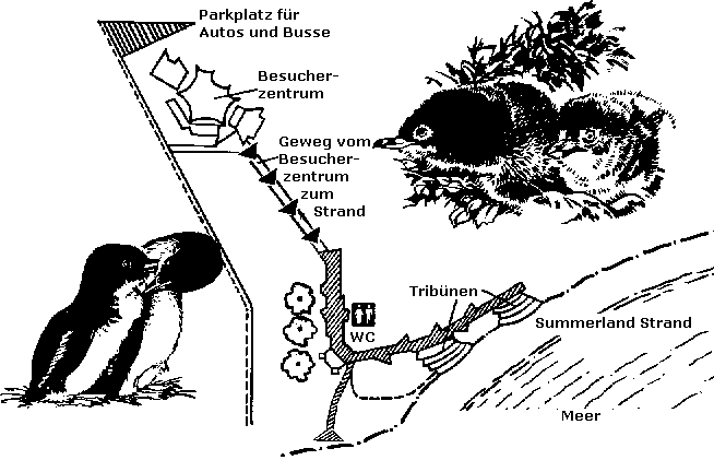 Pinguin-Parade, Karte, 14 kB