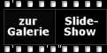 zur Galerie